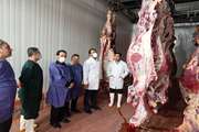  بازدید میدانی مدیر کل دفتر نظارت بر بهداشت عمومی و مواد غذایی سازمان دامپزشکی کشور از کشتارگاه صنعتی دام استان گلستان 