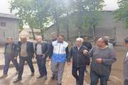 بازدید میدانی از کارخانه تولید خوراک طیور و واحد بسته بندی تخم مرغ شرکت توکل واقع در شهرستان علی آباد کتول