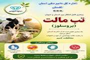 راههای پیشگیری از بیماری تب مالت (بروسلوز)