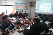طرح ملی واکسیناسیون طیور  روستایی 