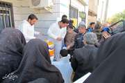 توزیع رایگان واکسن طیور در گلستان