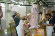 بازرسی بهداشتی كشتارگاه دام گرگان