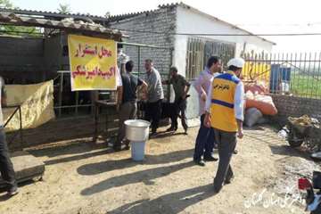 کشیک  عید قربان 96