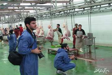 برگزاری تور  تخصصی جشنواره ملی بیطار در گرگان