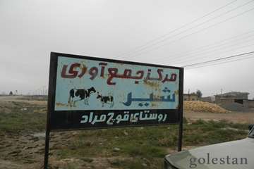 نمونه گيري از مراكز جمع آوري شير در گنبد كاووس
