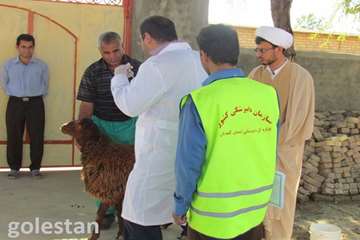 ساخت مستند دامپزشك در گلستان