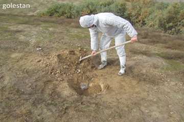 بازدید از تالاب آلاگل گلستان به منظور مبارزه با آنفلوآنزا