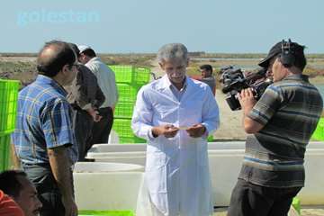ساخت مستند دامپزشك در گلستان