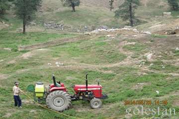سمپاشي عليه بيماريهاي دامي-مينودشت