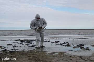 بازدید از تالاب آلاگل گلستان به منظور مبارزه با آنفلوآنزا