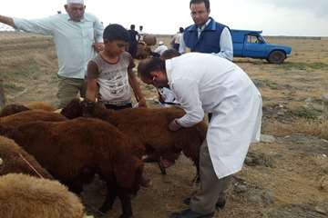 کشیک عید سعید قربان