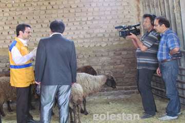 ساخت مستند دامپزشك در گلستان