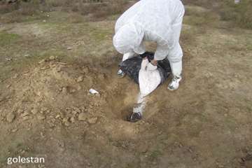 بازدید از تالاب آلاگل گلستان به منظور مبارزه با آنفلوآنزا