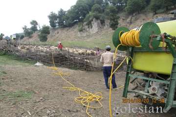 سمپاشي عليه بيماريهاي دامي-مينودشت