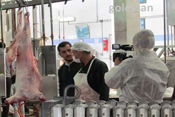 ساخت مستند دامپزشك در گلستان