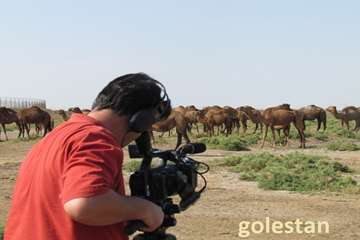 ساخت مستند دامپزشك در گلستان