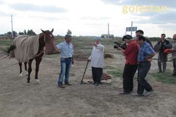 ساخت مستند دامپزشك در گلستان