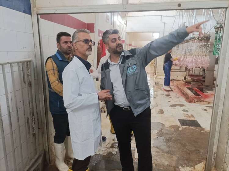 بازدید سرزده از کشتارگاه صنعتی شرکت دام و طیور کوروش