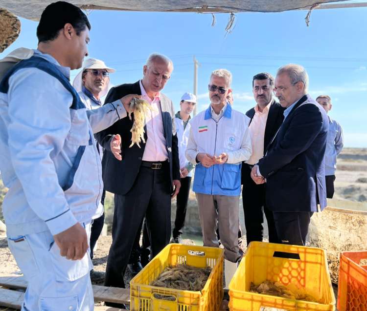صادرات ۴۷ تن میگوی پرورشی گلستان به روسیه با رعایت الزامات بهداشتی دامپزشکی 