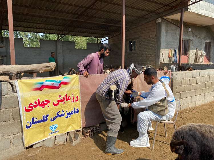 ارتقای سطح ایمنی و صیانت از سرمایه‌های دامی در روستای دنگلان با برگزاری اردوی جهادی دامپزشکی کردکوی