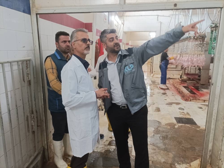 بازدید سرزده از کشتارگاه صنعتی شرکت دام و طیور کوروش